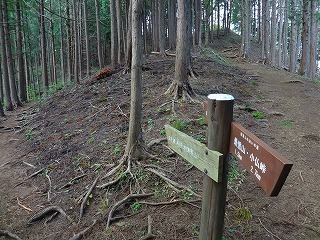 s-DSC01500.jpg