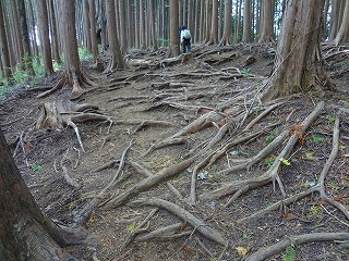 s-DSC01527.jpg