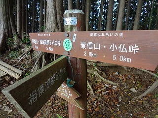 s-DSC01537.jpg